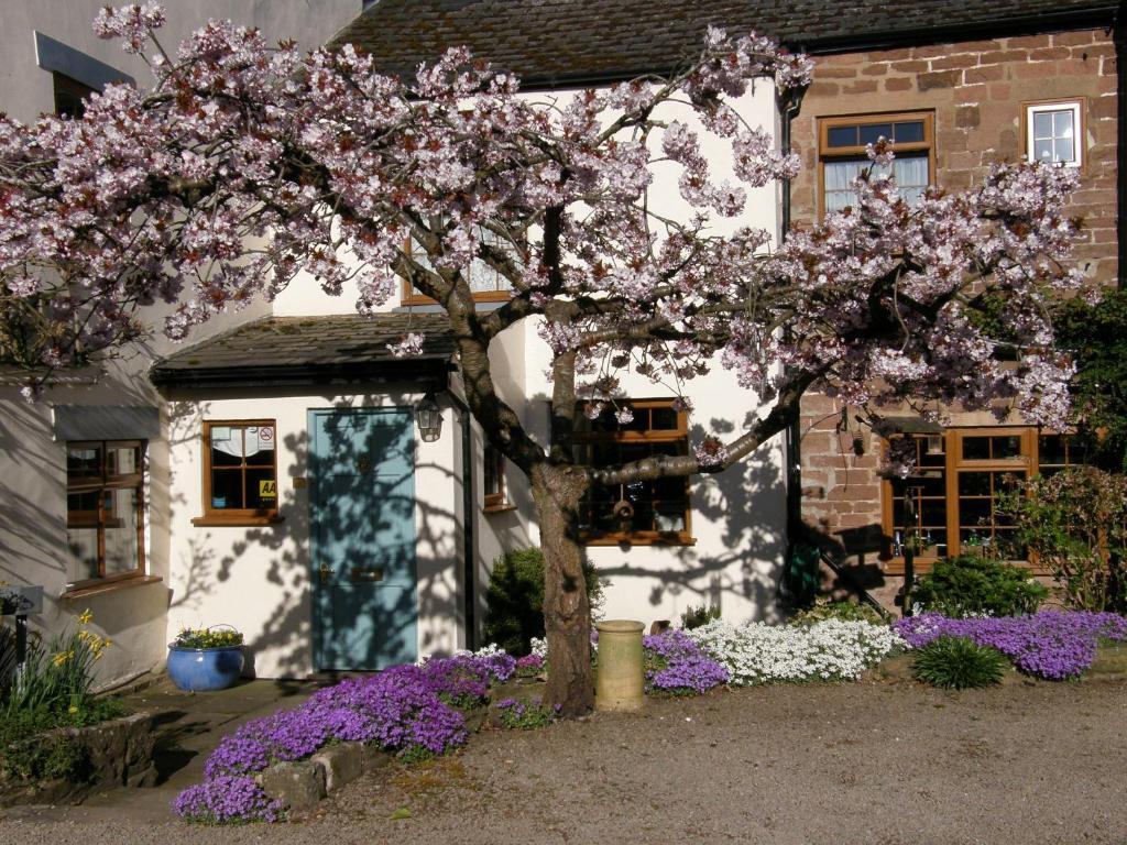 Lea House Bed And Breakfast Ross-on-Wye Εξωτερικό φωτογραφία